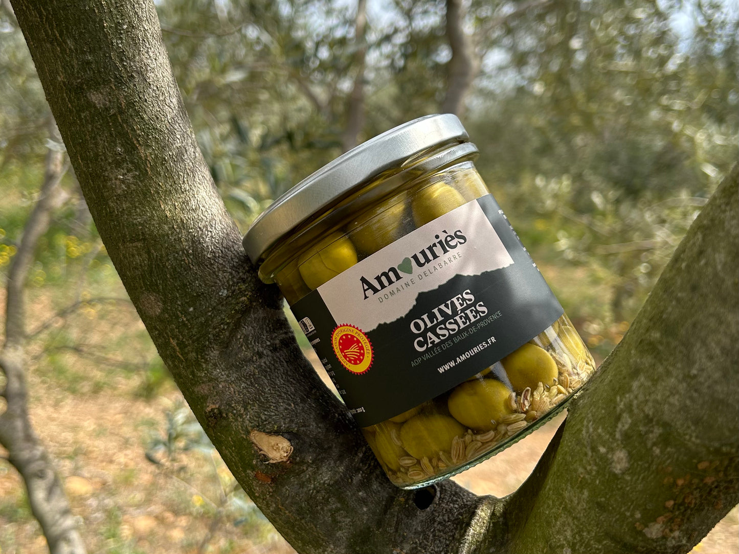 Olives Cassées AOP Vallée des Baux-de-Provence